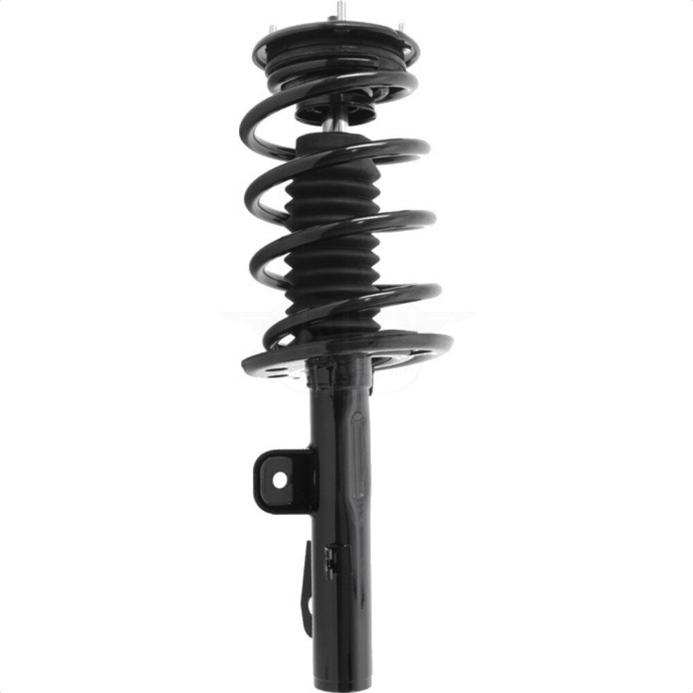 Suspension Strut Coil Spring Assembly