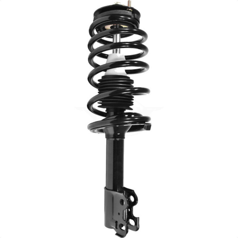 Suspension Strut Coil Spring Assembly