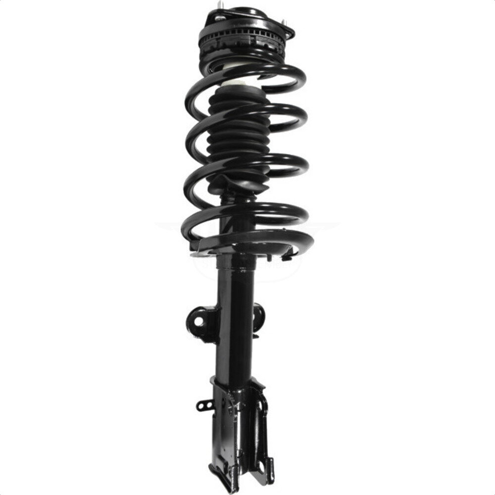 Suspension Strut Coil Spring Assembly