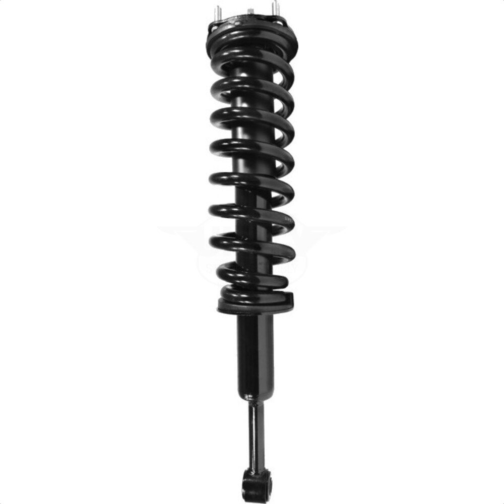 Suspension Strut Coil Spring Assembly