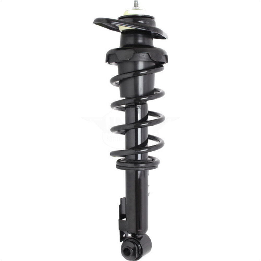 Suspension Strut Coil Spring Assembly