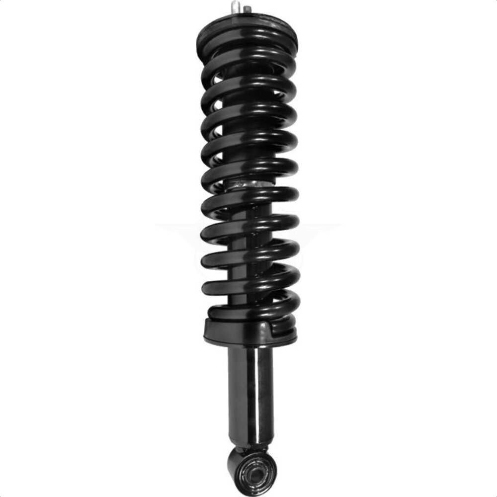 Suspension Strut Coil Spring Assembly