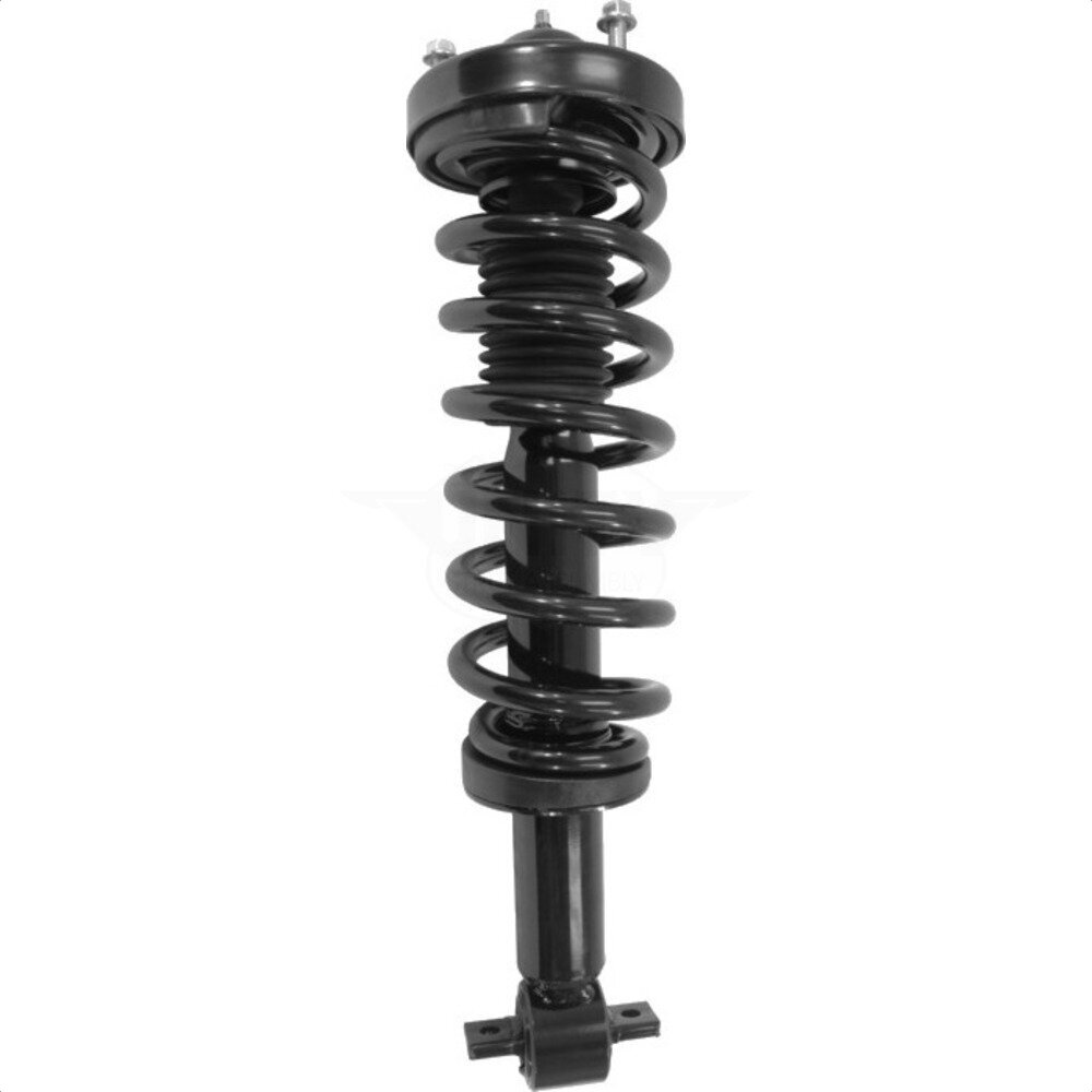 Suspension Strut Coil Spring Assembly
