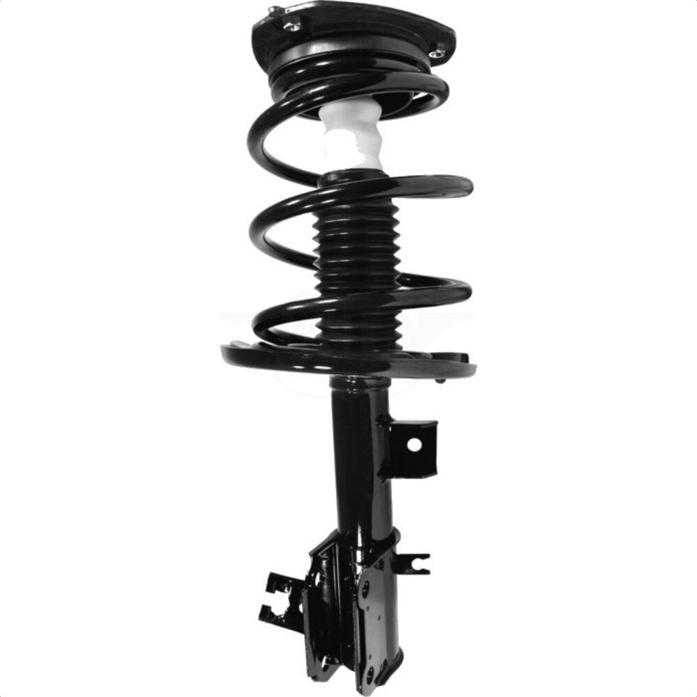 Suspension Strut Coil Spring Assembly