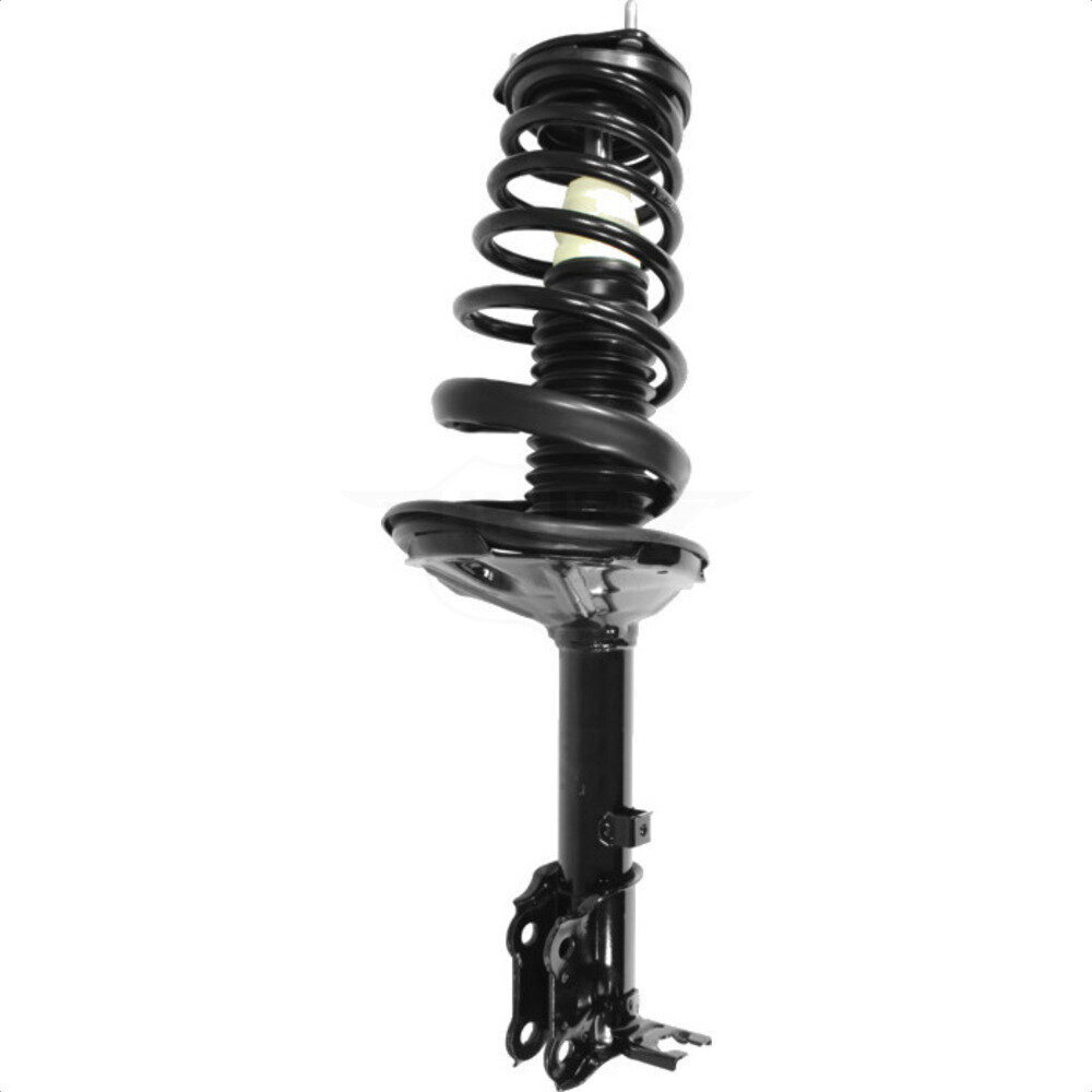 Suspension Strut Coil Spring Assembly
