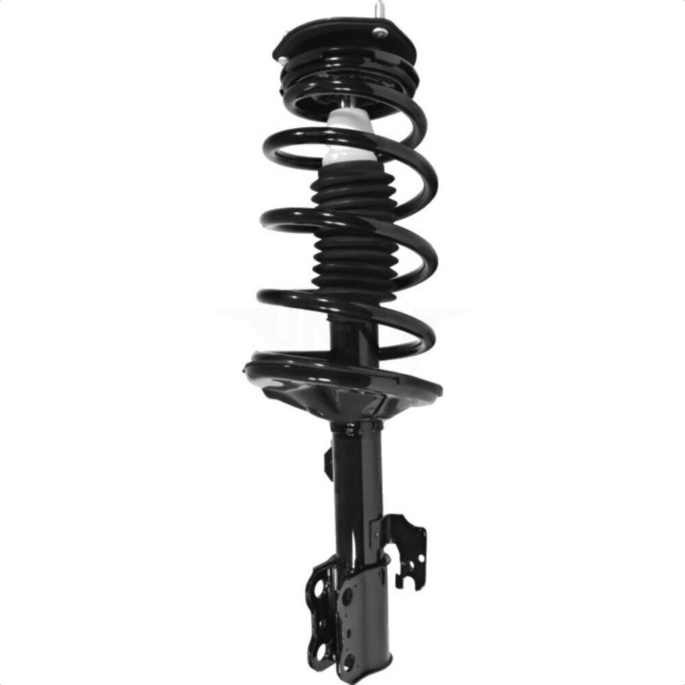 Suspension Strut Coil Spring Assembly