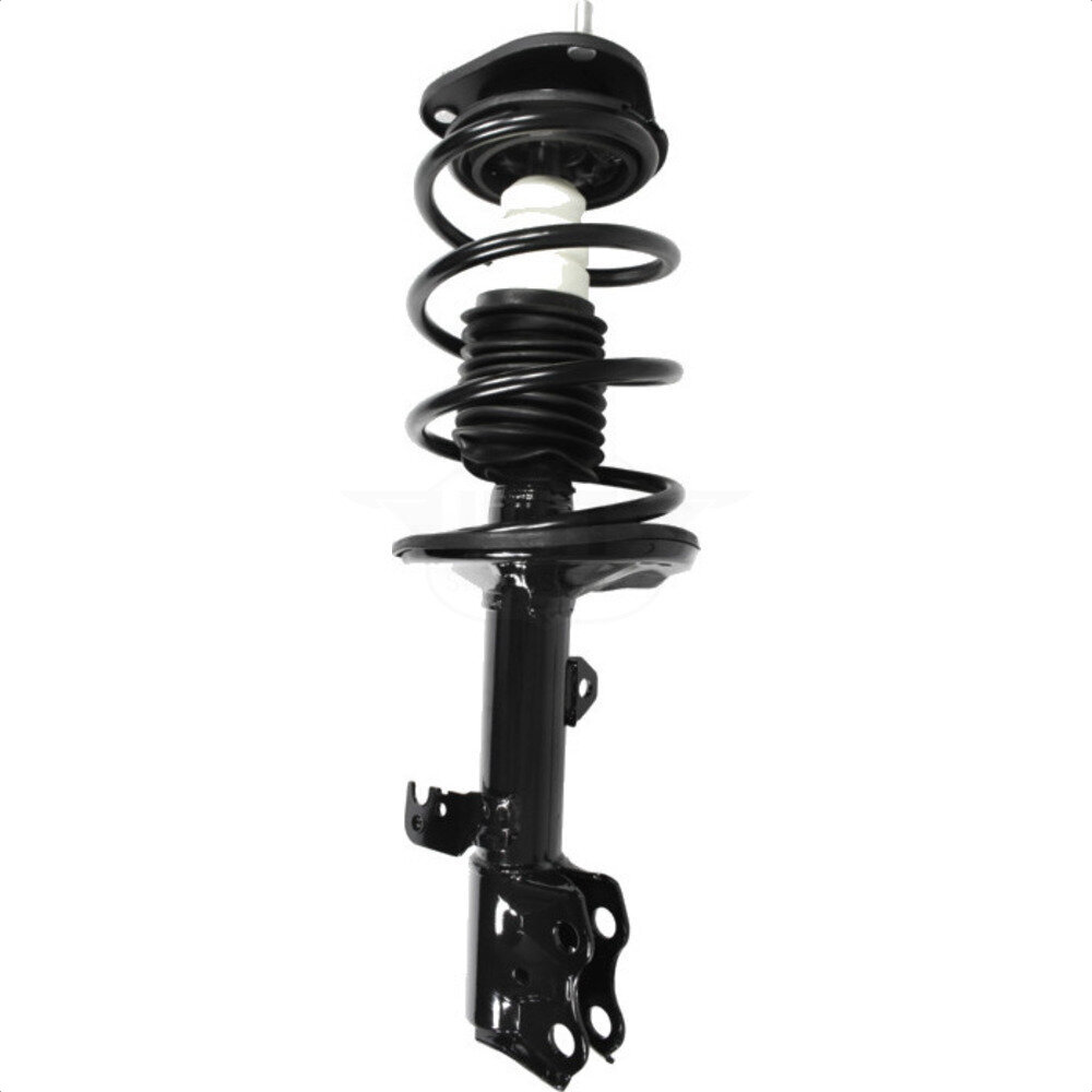 Suspension Strut Coil Spring Assembly