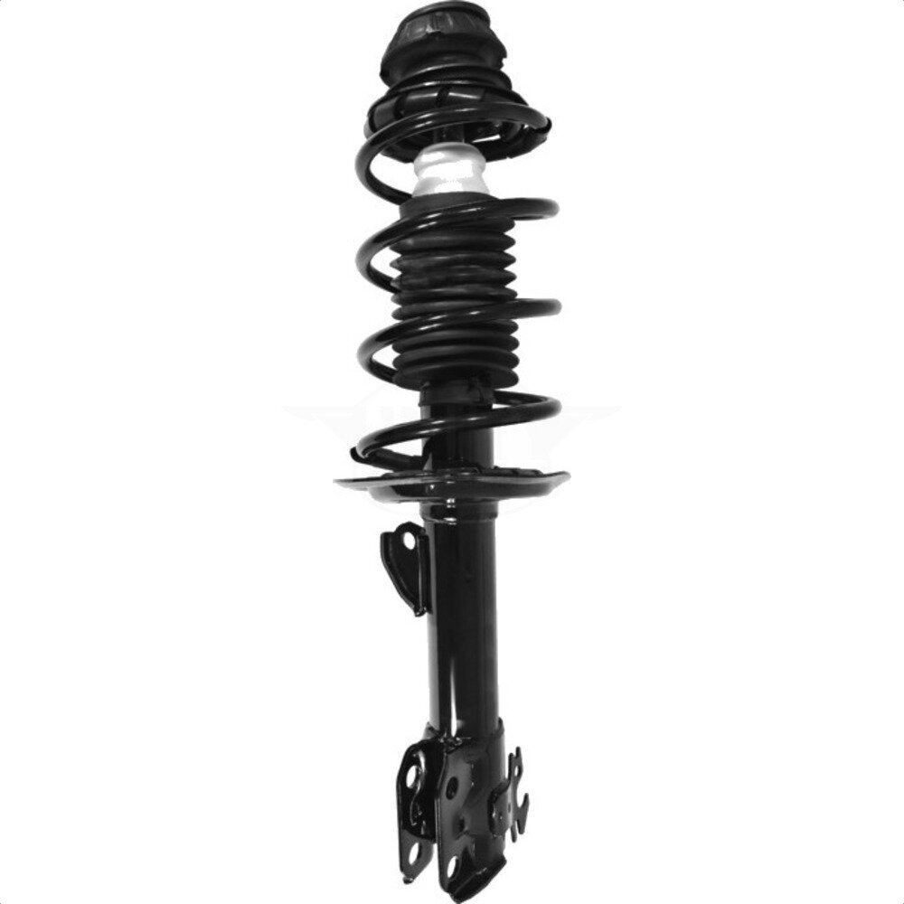 Suspension Strut Coil Spring Assembly