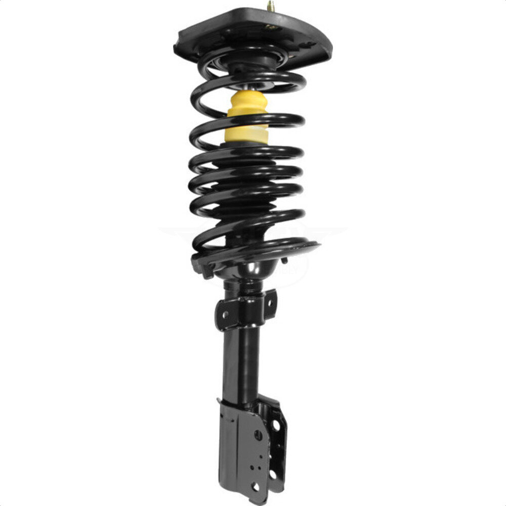Suspension Strut Coil Spring Assembly