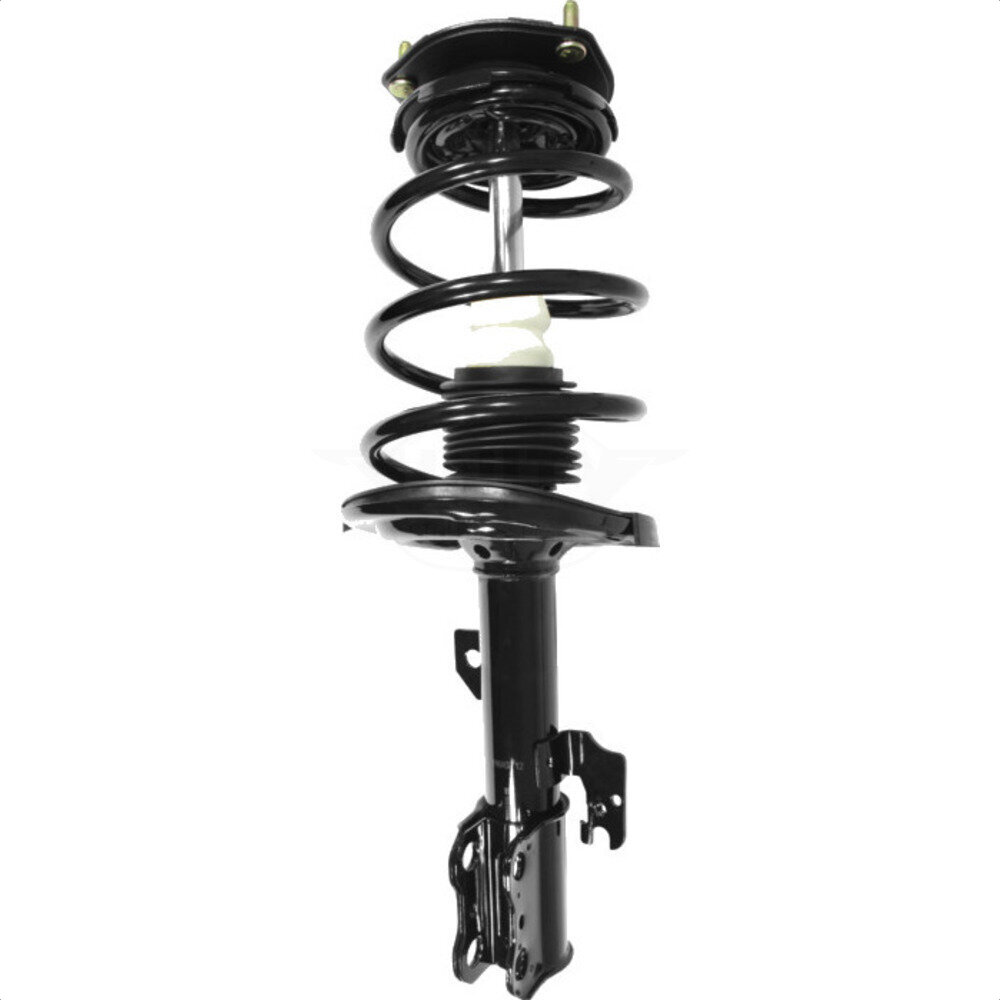 Suspension Strut Coil Spring Assembly