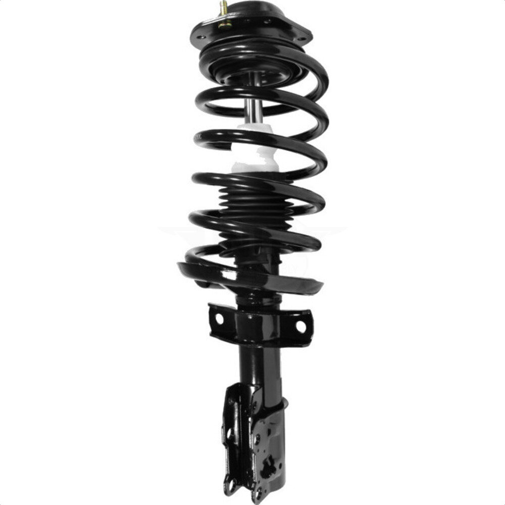 Suspension Strut Coil Spring Assembly