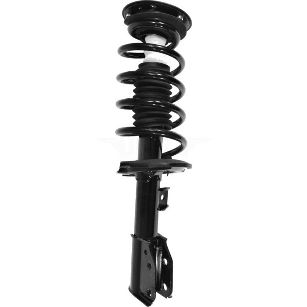 Suspension Strut Coil Spring Assembly