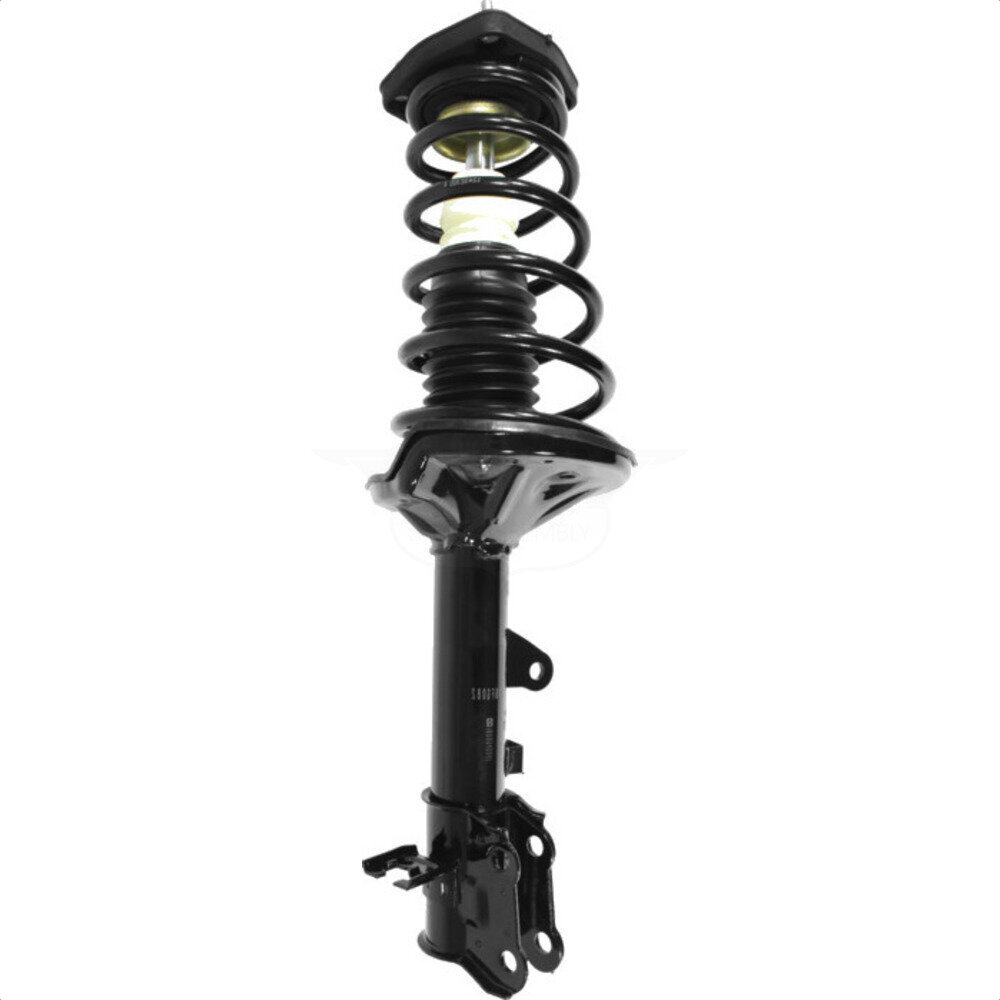 Suspension Strut Coil Spring Assembly