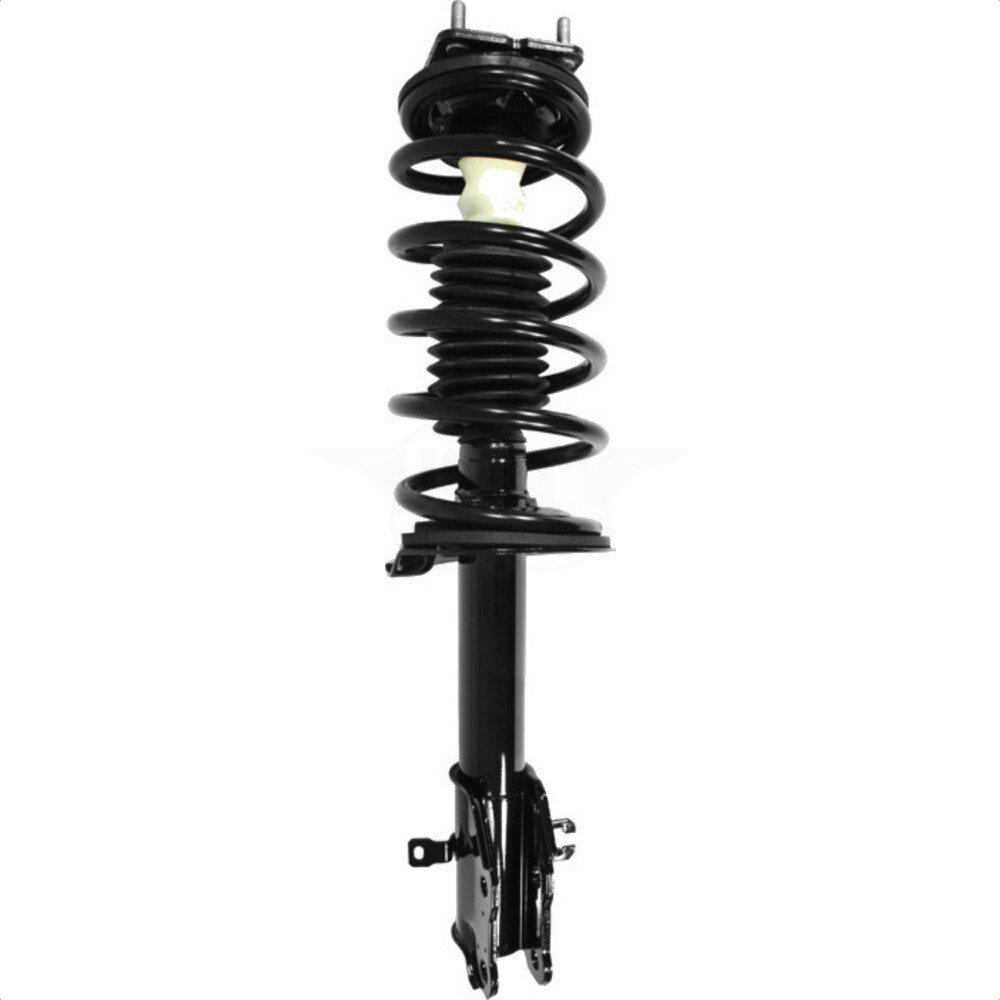 Suspension Strut Coil Spring Assembly