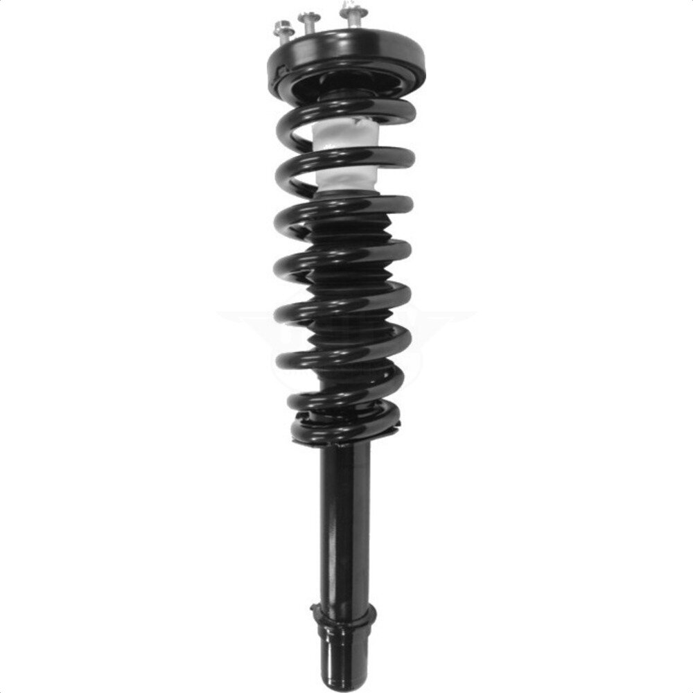 Suspension Strut Coil Spring Assembly