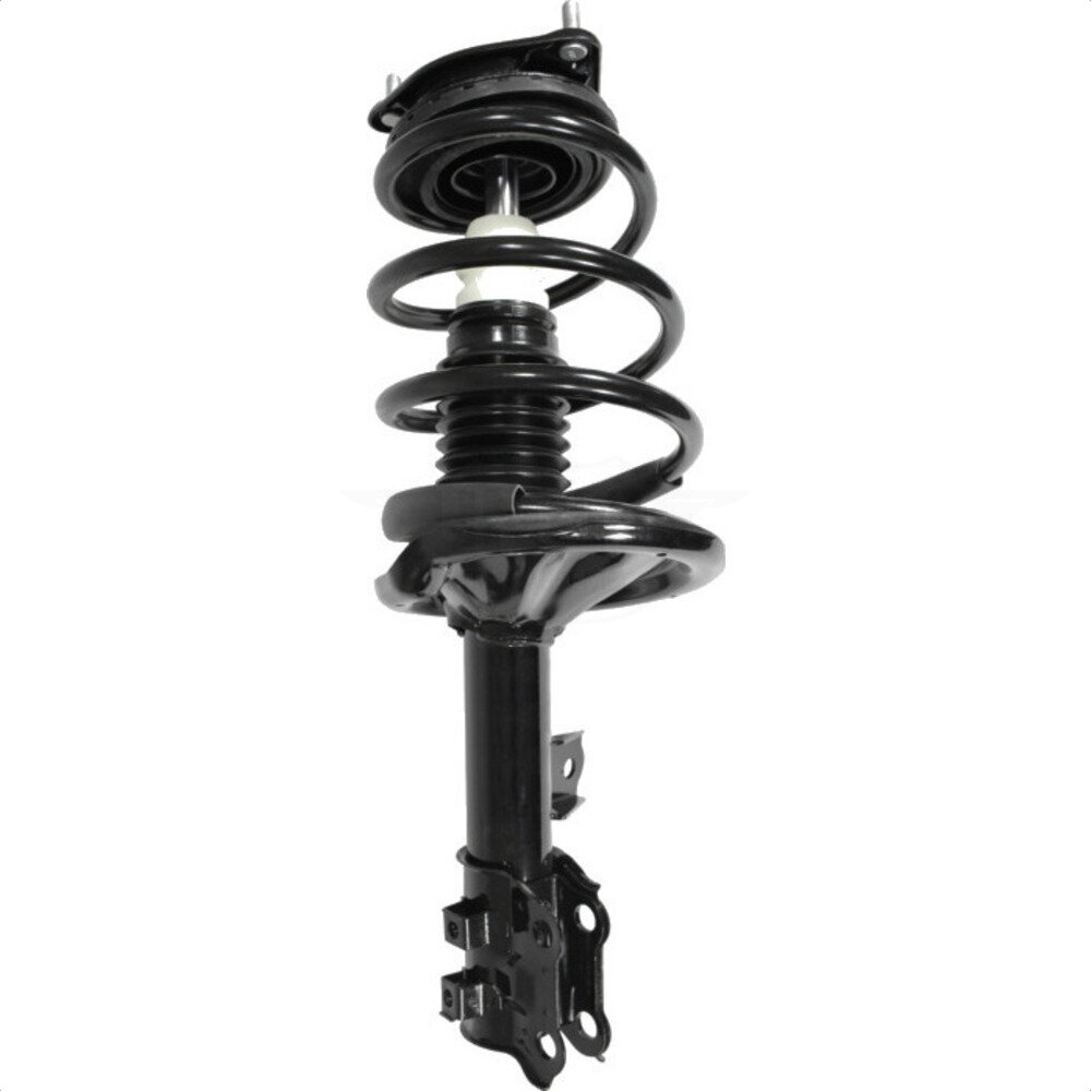 Suspension Strut Coil Spring Assembly