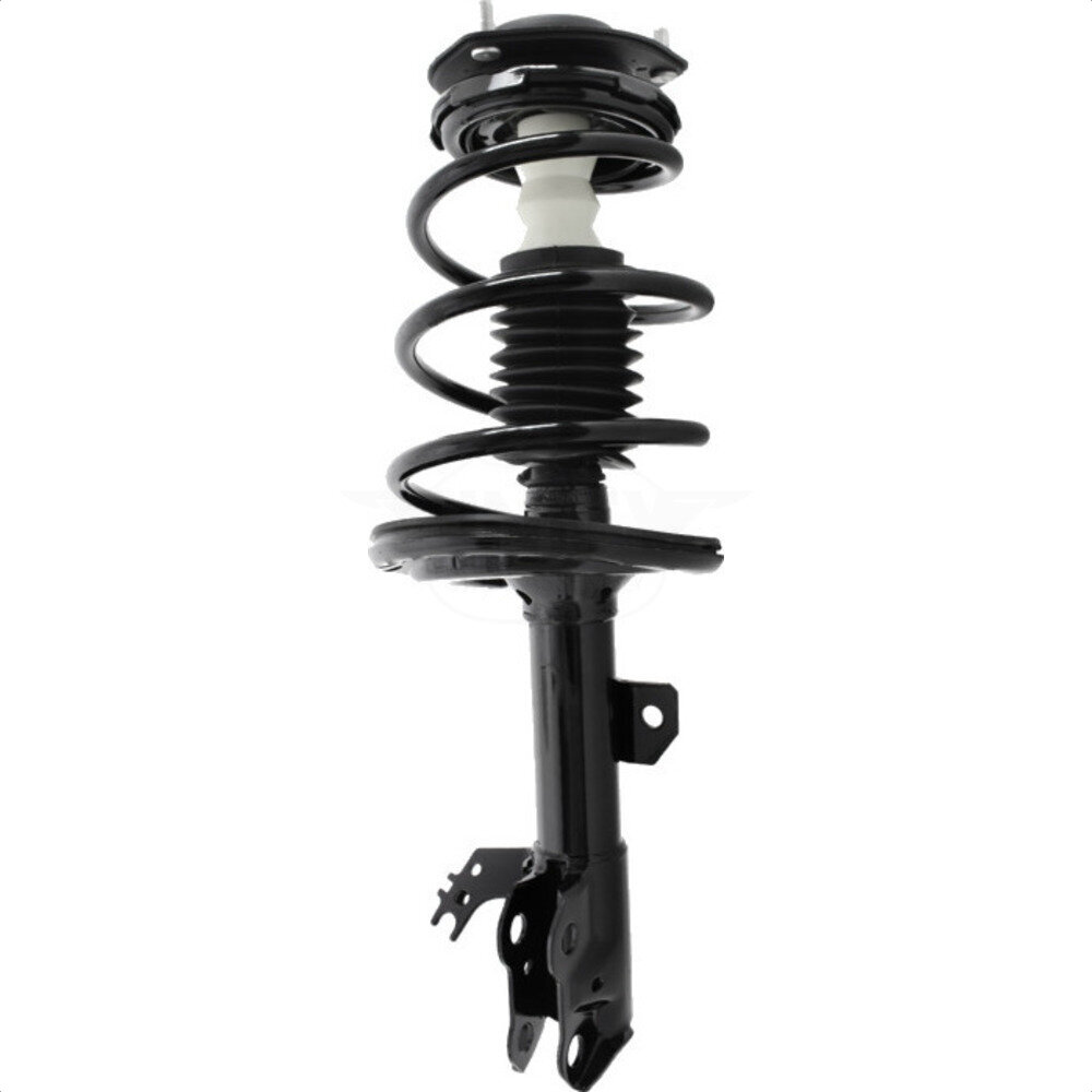 Suspension Strut Coil Spring Assembly