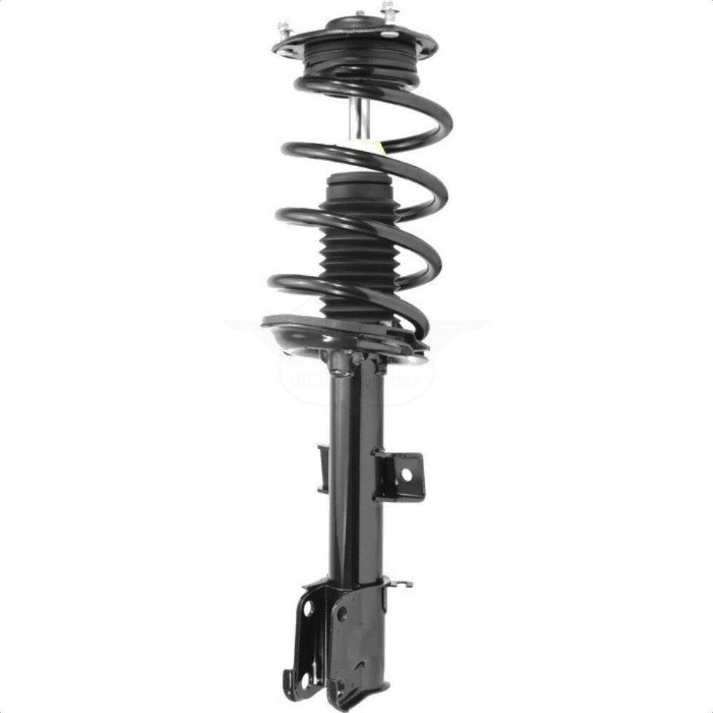 Suspension Strut Coil Spring Assembly