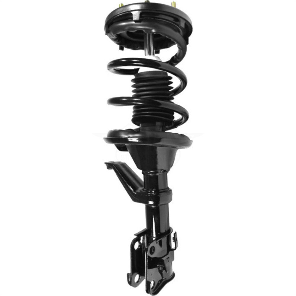 Suspension Strut Coil Spring Assembly