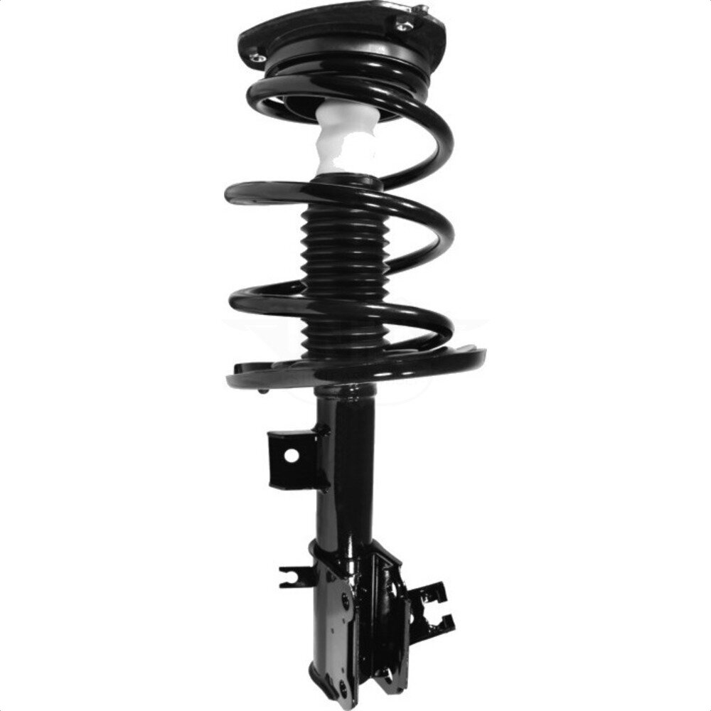 Suspension Strut Coil Spring Assembly