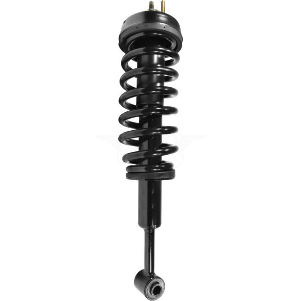 Suspension Strut Coil Spring Assembly