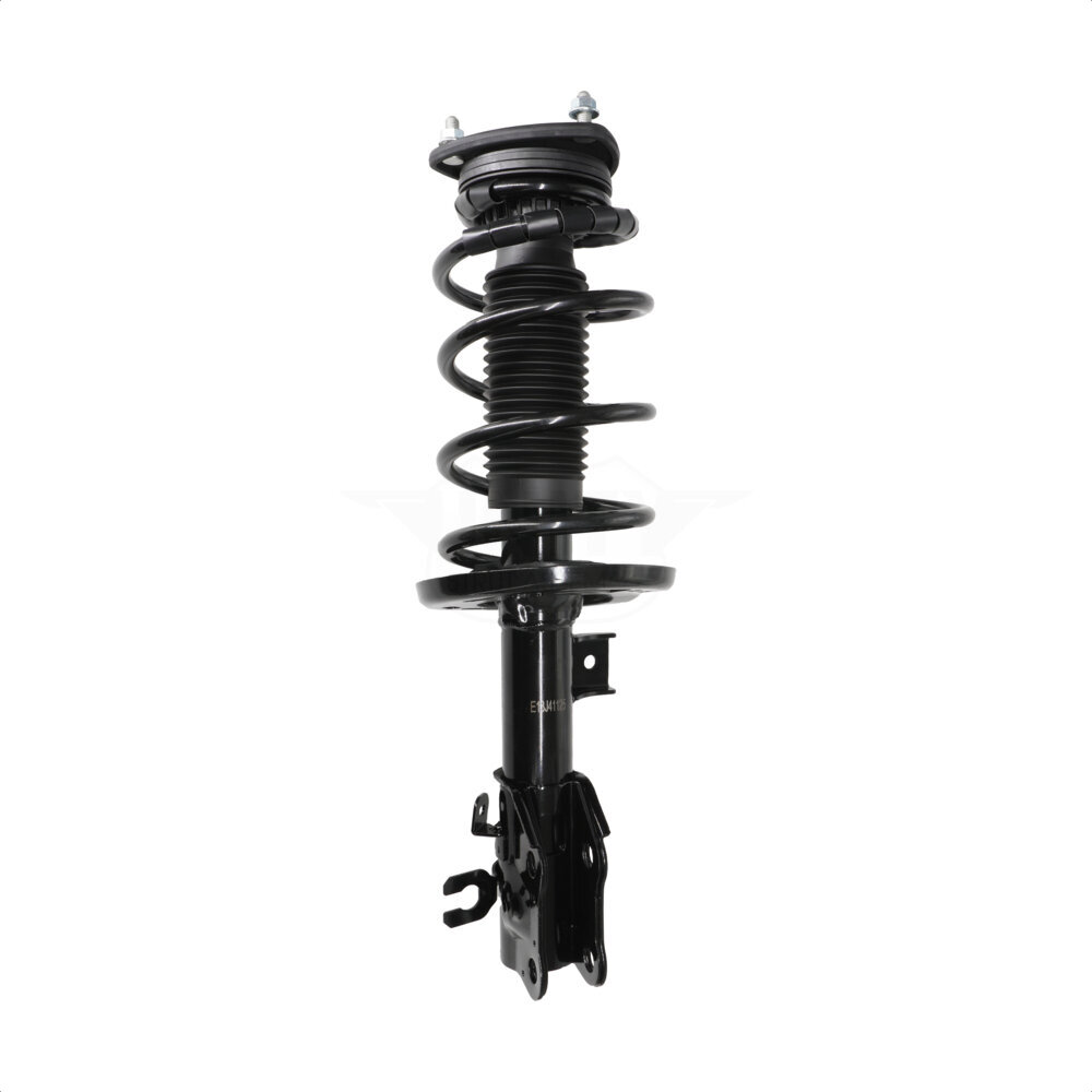 Suspension Strut Coil Spring Assembly