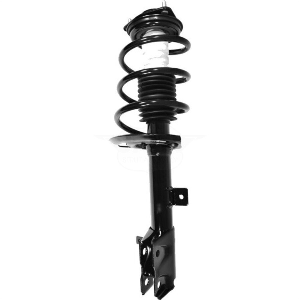 Suspension Strut Coil Spring Assembly