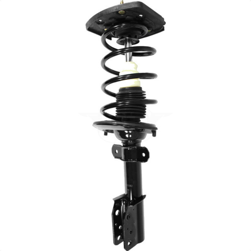 Suspension Strut Coil Spring Assembly