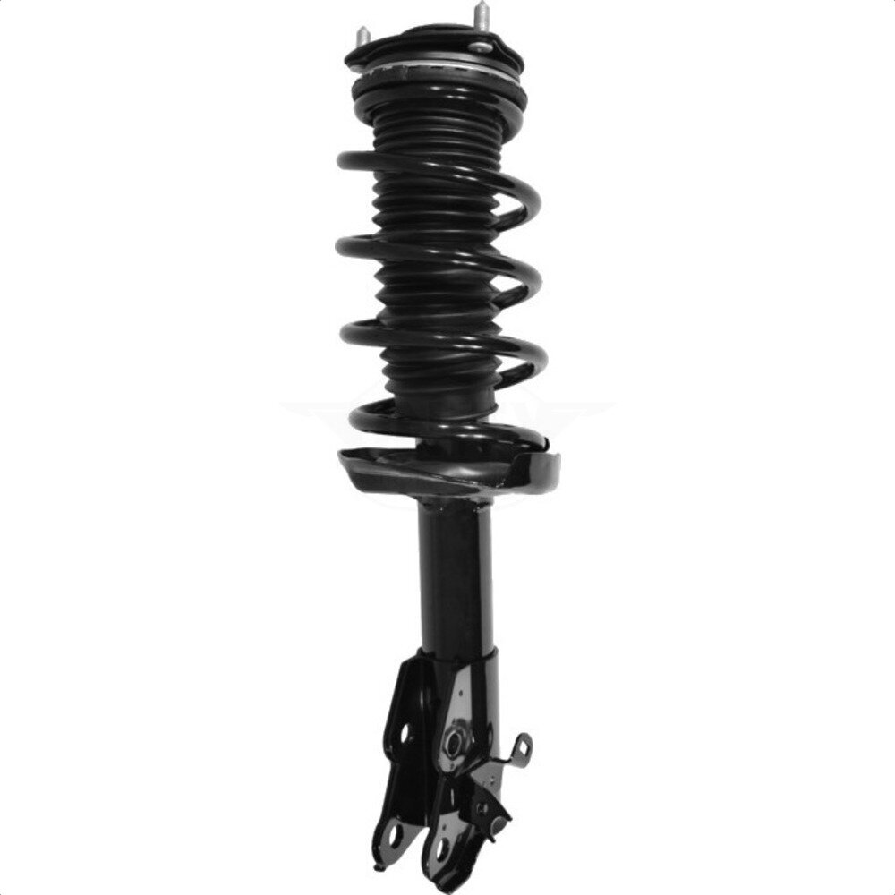 Suspension Strut Coil Spring Assembly