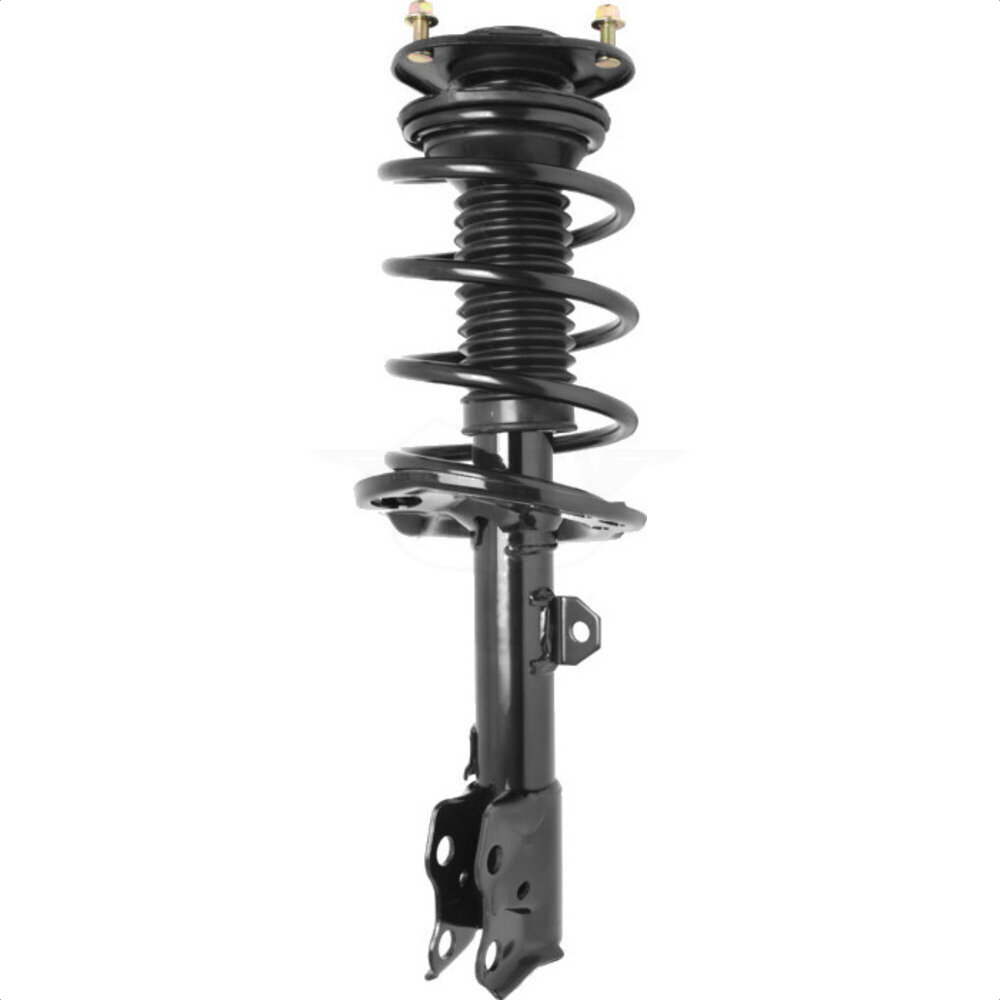 Suspension Strut Coil Spring Assembly