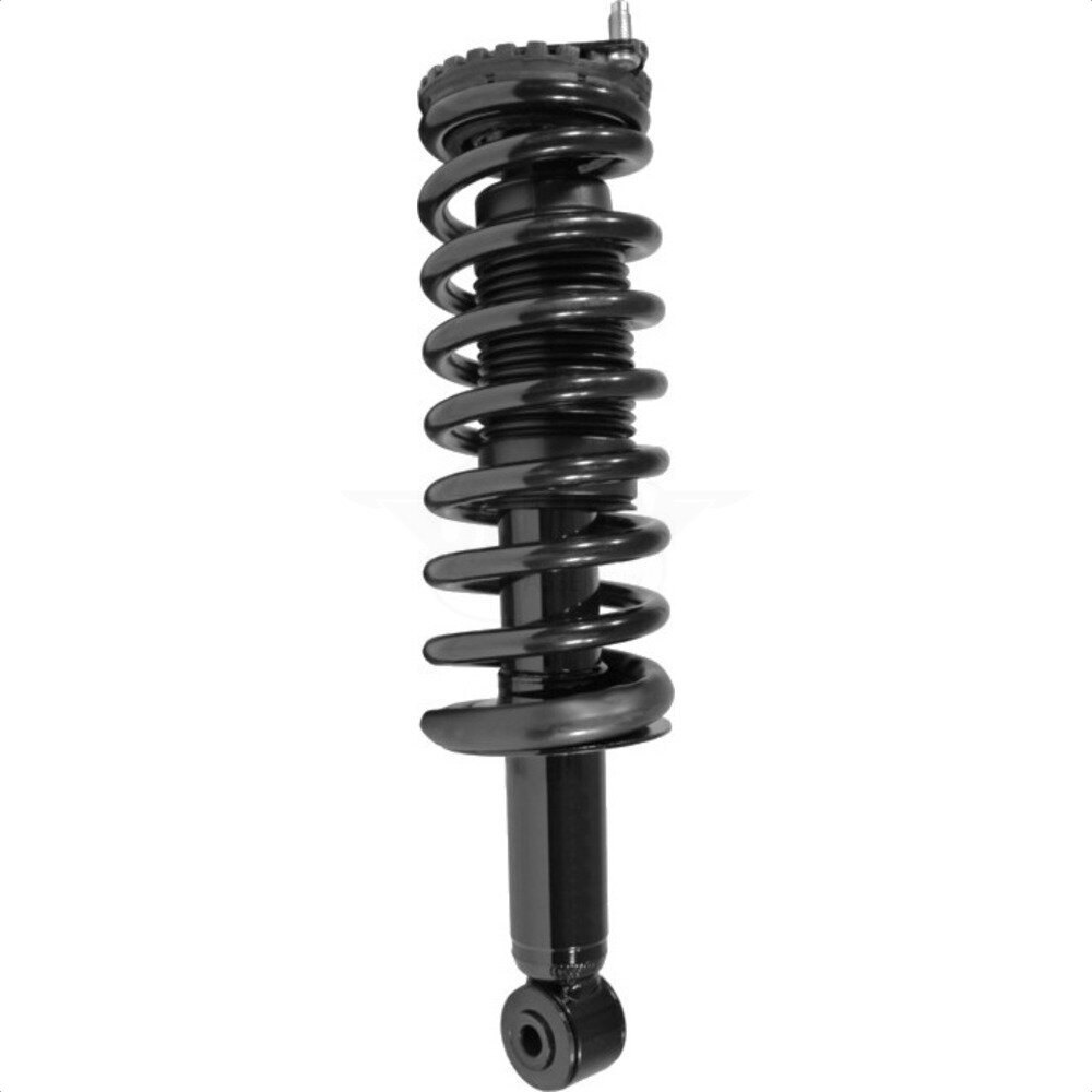 Suspension Strut Coil Spring Assembly