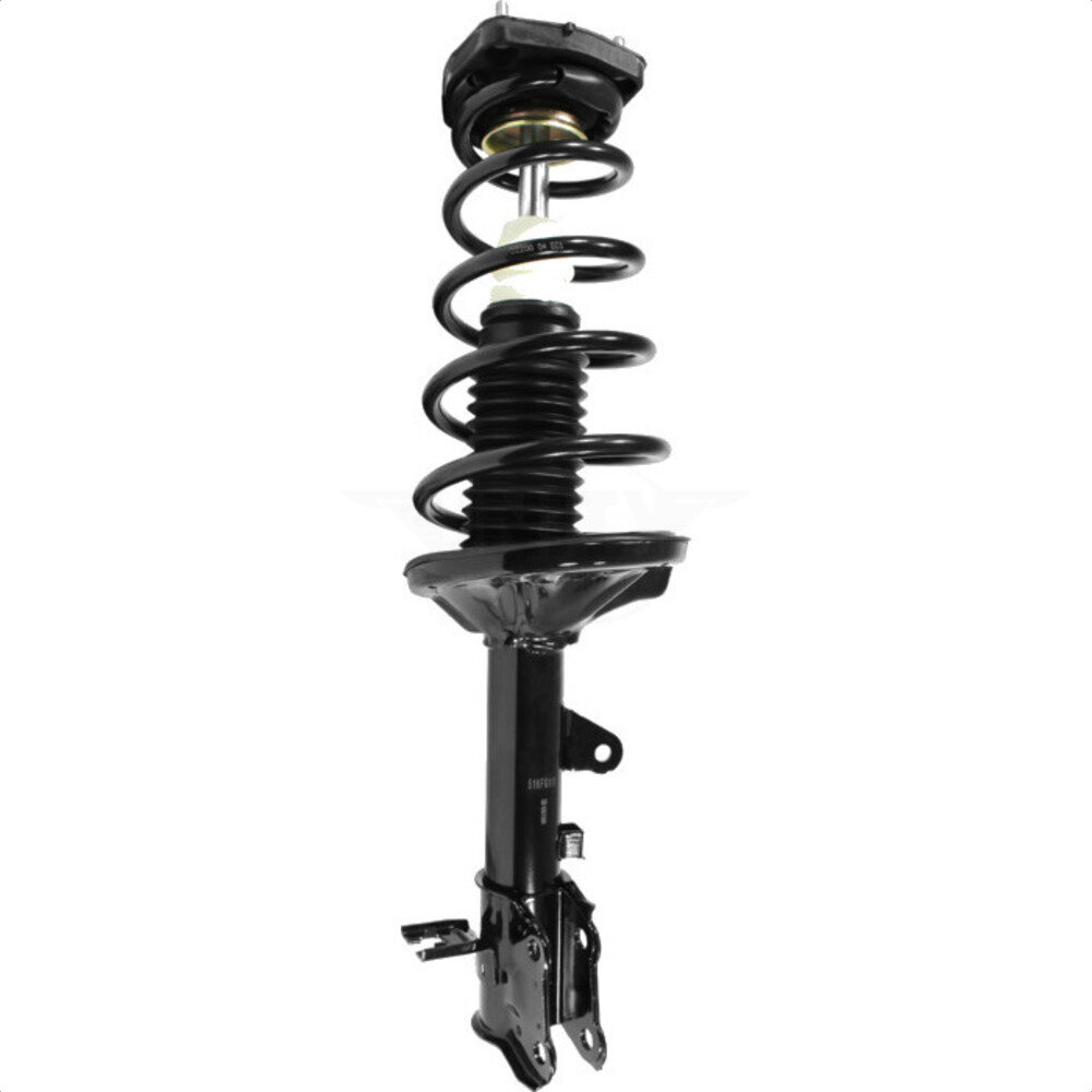 Suspension Strut Coil Spring Assembly
