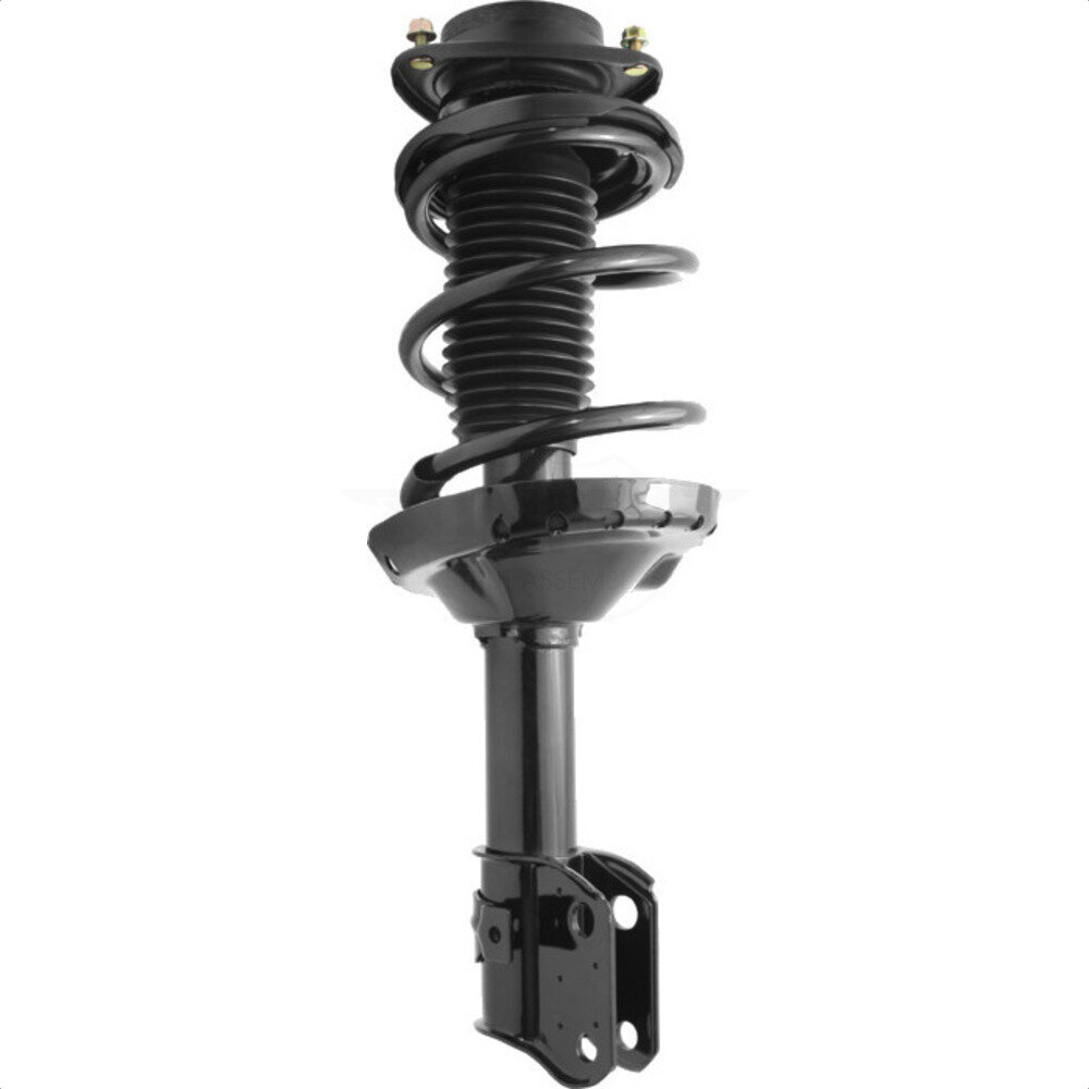 Suspension Strut Coil Spring Assembly