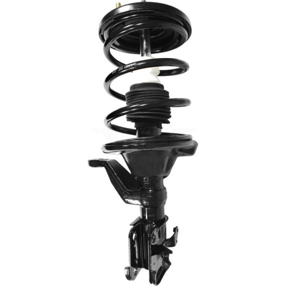 Suspension Strut Coil Spring Assembly