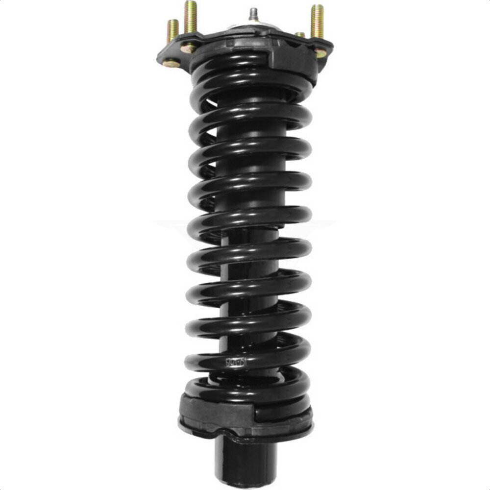 Suspension Strut Coil Spring Assembly