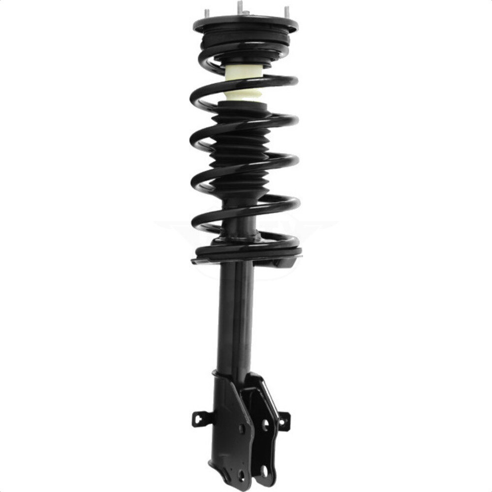 Suspension Strut Coil Spring Assembly