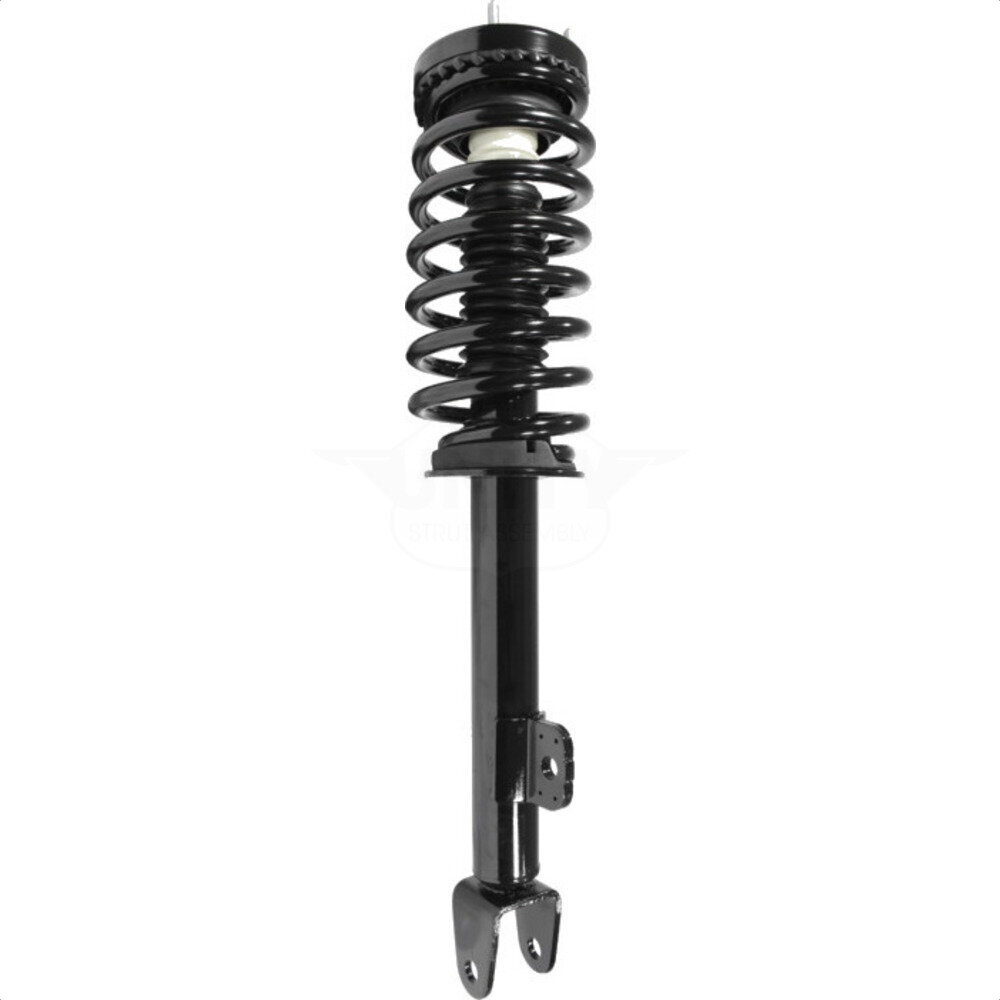 Suspension Strut Coil Spring Assembly