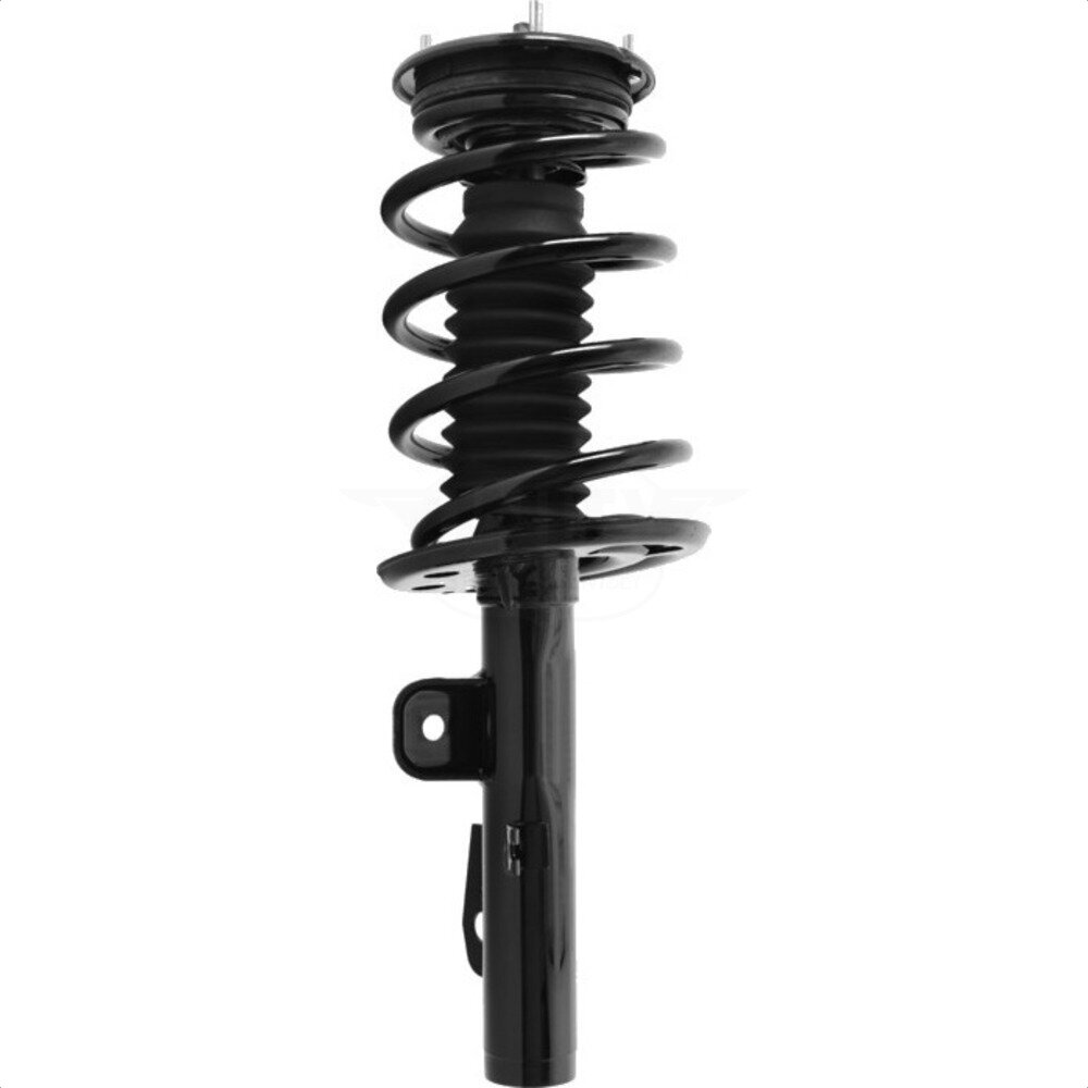 Suspension Strut Coil Spring Assembly