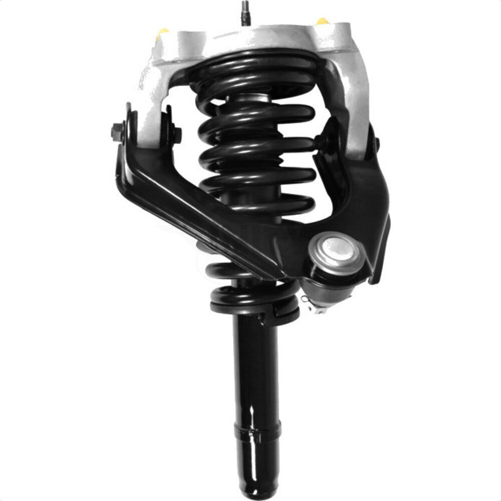 Suspension Strut Coil Spring Assembly