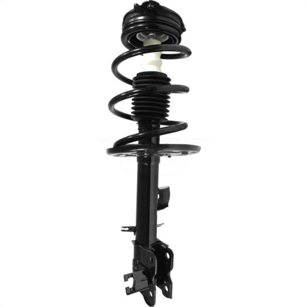 Suspension Strut Coil Spring Assembly