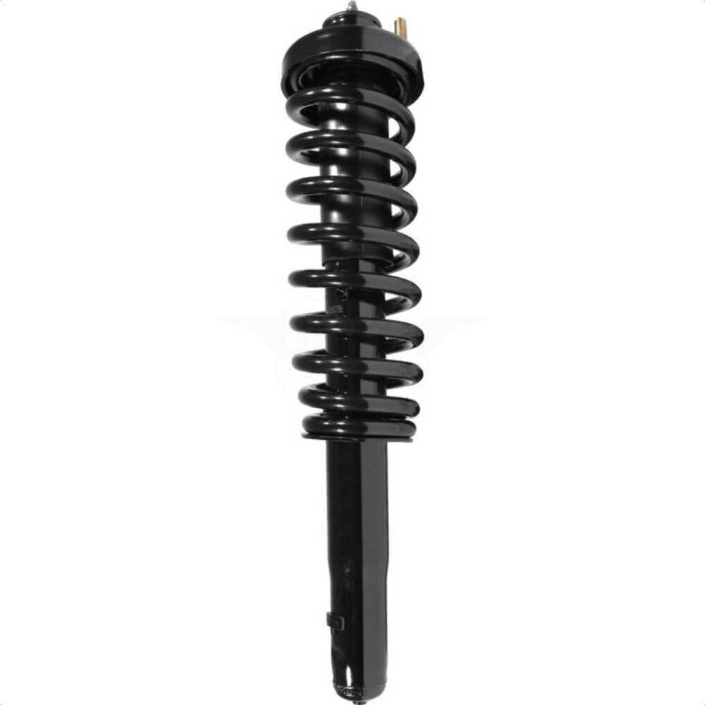 Suspension Strut Coil Spring Assembly