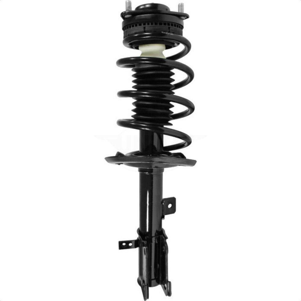 Suspension Strut Coil Spring Assembly