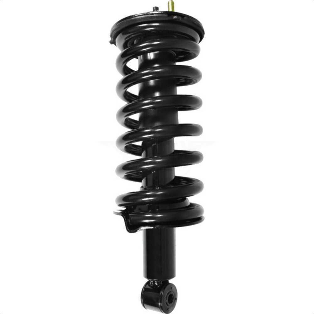 Suspension Strut Coil Spring Assembly