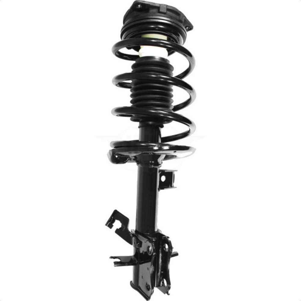 Suspension Strut Coil Spring Assembly