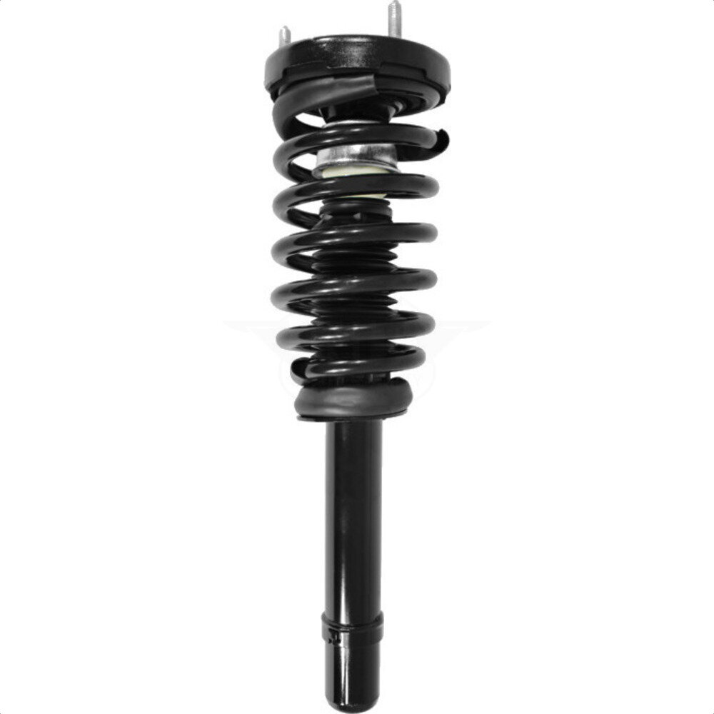 Suspension Strut Coil Spring Assembly