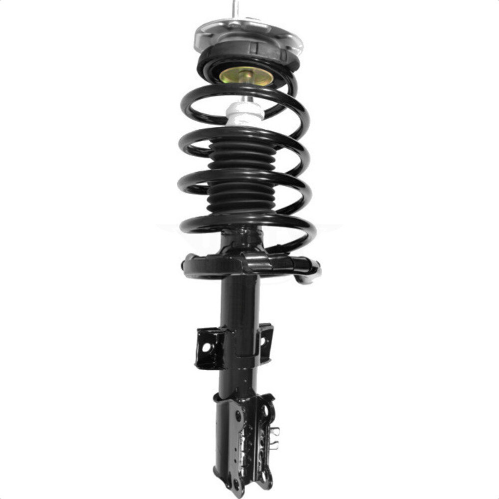 Suspension Strut Coil Spring Assembly