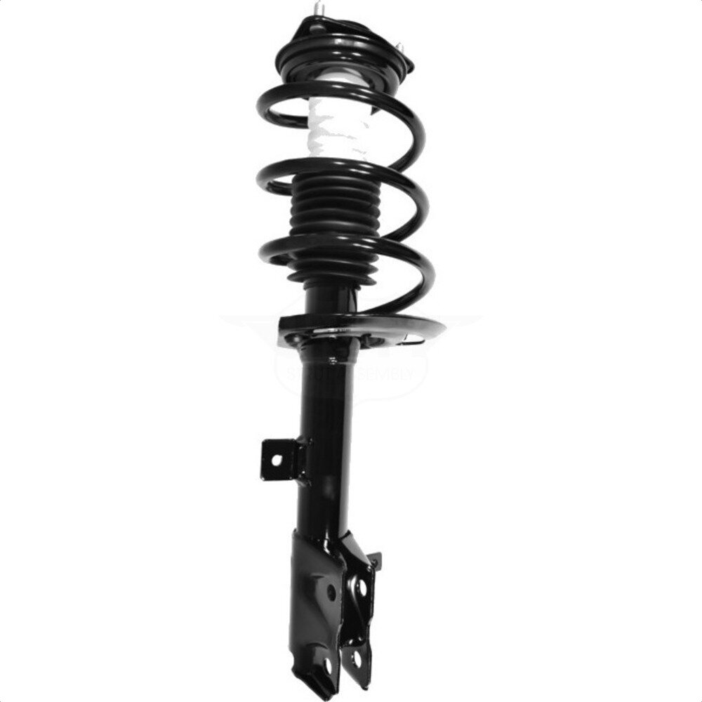 Suspension Strut Coil Spring Assembly