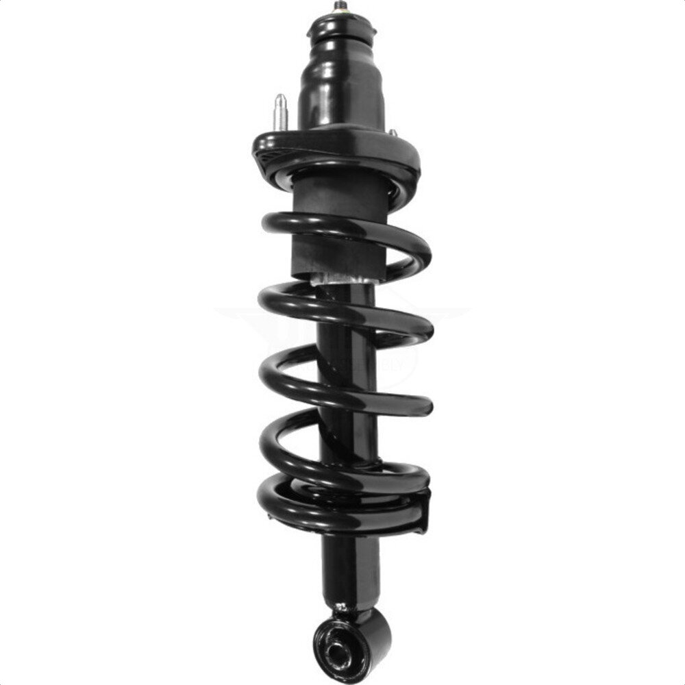 Suspension Strut Coil Spring Assembly