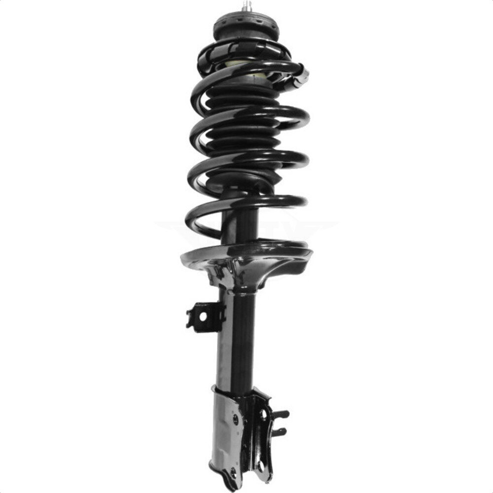 Suspension Strut Coil Spring Assembly
