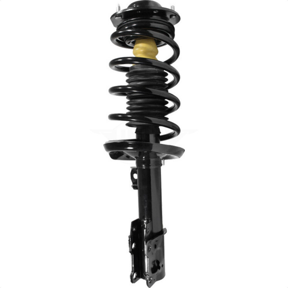 Suspension Strut Coil Spring Assembly